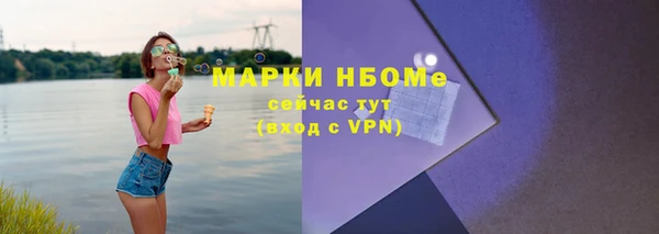 гашик Богородск