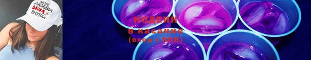 сатива Белокуриха