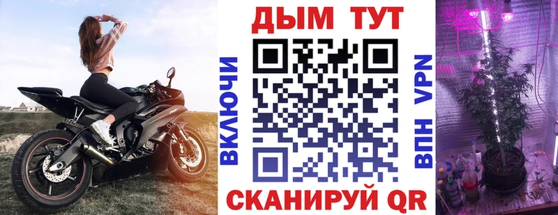 MEGA как войти  цена наркотик  Горняк  Бошки марихуана гибрид 